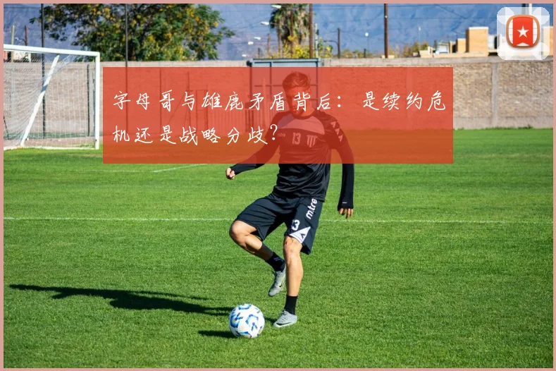 字母哥与雄鹿矛盾背后:是续约危机还是战略分歧?